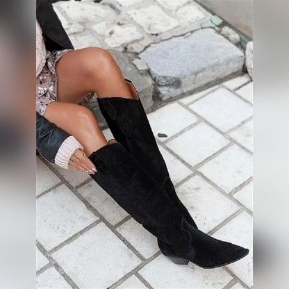 Delphine Bottes Western Hautes À Bout Pointu Femme