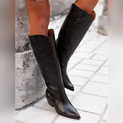 Delphine Bottes Western Hautes À Bout Pointu Femme